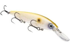 Strike King KVD 300D Series 4 1/2 Inch Deep Diving Jerkbait 36 Strike King KVD 300D Series 4 1/2 Inch Deep Diving Jerkbait -Fishing Promotion Store 12699232370743