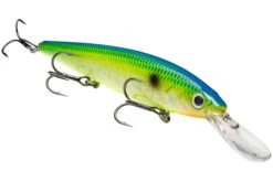Strike King KVD 300D Series 4 1/2 Inch Deep Diving Jerkbait 37 Strike King KVD 300D Series 4 1/2 Inch Deep Diving Jerkbait -Fishing Promotion Store 12699232403511