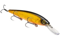 Strike King KVD 300D Series 4 1/2 Inch Deep Diving Jerkbait 38 Strike King KVD 300D Series 4 1/2 Inch Deep Diving Jerkbait -Fishing Promotion Store 12699232501815