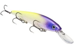 Strike King KVD 300D Series 4 1/2 Inch Deep Diving Jerkbait 41 Strike King KVD 300D Series 4 1/2 Inch Deep Diving Jerkbait -Fishing Promotion Store 12699232632887