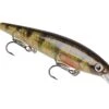 Strike King KVD 300D Series 4 1/2 Inch Deep Diving Jerkbait 2 Strike King KVD 300D Series 4 1/2 Inch Deep Diving Jerkbait -Fishing Promotion Store 12699232829495