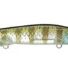 Jackall I-Prop 75 Spybait 1 Jackall I-Prop 75 Spybait -Fishing Promotion Store 12984626511927