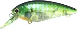 Lucky Craft Moonsault CB-100 Shallow Diving Crankbait 29 Lucky Craft Moonsault CB-100 Shallow Diving Crankbait -Fishing Promotion Store 13025143095351