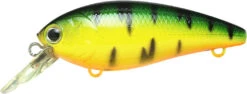 Lucky Craft Moonsault CB-100 Shallow Diving Crankbait 30 Lucky Craft Moonsault CB-100 Shallow Diving Crankbait -Fishing Promotion Store 13025143128119