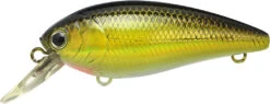 Lucky Craft Moonsault CB-100 Shallow Diving Crankbait 31 Lucky Craft Moonsault CB-100 Shallow Diving Crankbait -Fishing Promotion Store 13025143160887