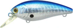 Lucky Craft Moonsault CB-100 Shallow Diving Crankbait 40 Lucky Craft Moonsault CB-100 Shallow Diving Crankbait -Fishing Promotion Store 13025143455799