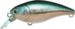 Lucky Craft Moonsault CB-50 Waking Crankbait 24 Lucky Craft Moonsault CB-50 Waking Crankbait -Fishing Promotion Store 13025150500919