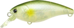 Lucky Craft Moonsault CB-50 Waking Crankbait 25 Lucky Craft Moonsault CB-50 Waking Crankbait -Fishing Promotion Store 13025150533687