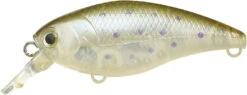 Lucky Craft Moonsault CB-50 Waking Crankbait 27 Lucky Craft Moonsault CB-50 Waking Crankbait -Fishing Promotion Store 13025150599223