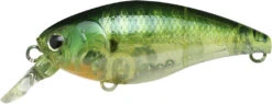 Lucky Craft Moonsault CB-50 Waking Crankbait 30 Lucky Craft Moonsault CB-50 Waking Crankbait -Fishing Promotion Store 13025150697527