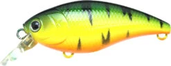 Lucky Craft Moonsault CB-50 Waking Crankbait 31 Lucky Craft Moonsault CB-50 Waking Crankbait -Fishing Promotion Store 13025150730295