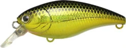 Lucky Craft Moonsault CB-50 Waking Crankbait 32 Lucky Craft Moonsault CB-50 Waking Crankbait -Fishing Promotion Store 13025150763063