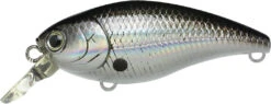 Lucky Craft Moonsault CB-50 Waking Crankbait 37 Lucky Craft Moonsault CB-50 Waking Crankbait -Fishing Promotion Store 13025150926903