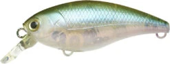 Lucky Craft Moonsault CB-50 Waking Crankbait 38 Lucky Craft Moonsault CB-50 Waking Crankbait -Fishing Promotion Store 13025150959671