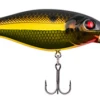 Berkley Bad Shad Medium Diving Crankbait 1 Berkley Bad Shad Medium Diving Crankbait -Fishing Promotion Store 13945542475831