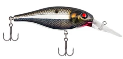 Berkley Bad Shad Medium Diving Crankbait 24 Berkley Bad Shad Medium Diving Crankbait -Fishing Promotion Store 13945542541367