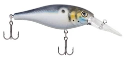Berkley Bad Shad Medium Diving Crankbait 25 Berkley Bad Shad Medium Diving Crankbait -Fishing Promotion Store 13945542639671