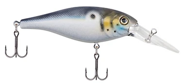 Berkley Bad Shad Medium Diving Crankbait 6 Berkley Bad Shad Medium Diving Crankbait - Image 4
