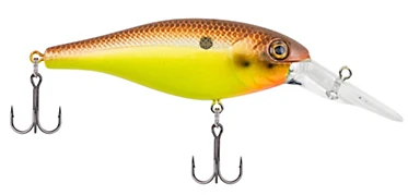 Berkley Bad Shad Medium Diving Crankbait 7 Berkley Bad Shad Medium Diving Crankbait - Image 5