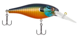Berkley Bad Shad Medium Diving Crankbait 31 Berkley Bad Shad Medium Diving Crankbait -Fishing Promotion Store 13945542934583
