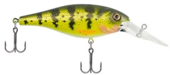 Berkley Bad Shad Medium Diving Crankbait 41 Berkley Bad Shad Medium Diving Crankbait -Fishing Promotion Store 13945543327799