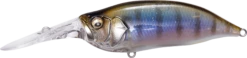 Megabass IXI Shad Type 3 Medium Diving Crankbait 15 Megabass IXI Shad Type 3 Medium Diving Crankbait -Fishing Promotion Store 14366628216887