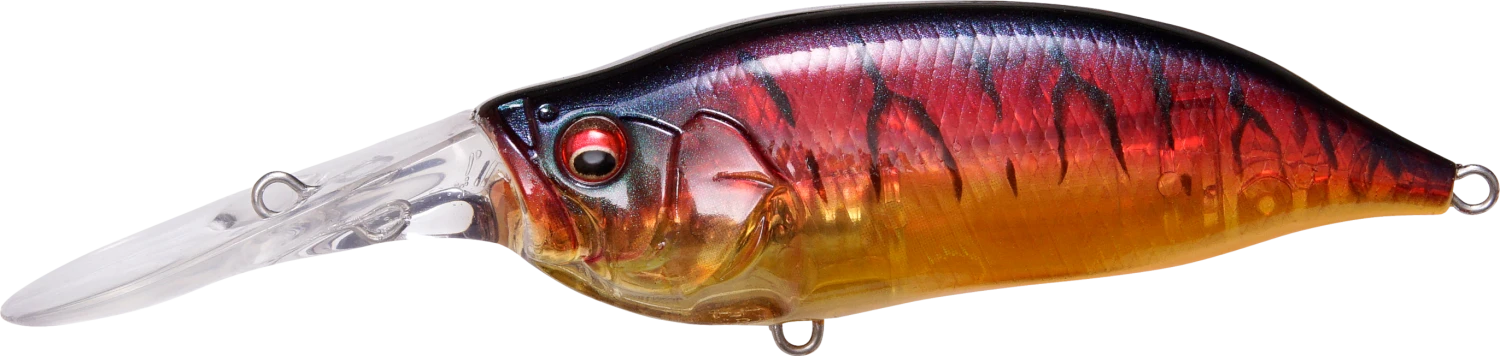 Megabass IXI Shad Type 3 Medium Diving Crankbait 6 Megabass IXI Shad Type 3 Medium Diving Crankbait - Image 4