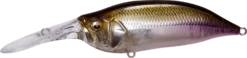 Megabass IXI Shad Type 3 Medium Diving Crankbait 17 Megabass IXI Shad Type 3 Medium Diving Crankbait -Fishing Promotion Store 14366628282423