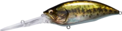 Megabass Big-M 7.5 Magnum Extra Deep Diving Crankbait 25 Megabass Big-M 7.5 Magnum Extra Deep Diving Crankbait -Fishing Promotion Store 14412823658551