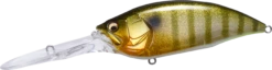 Megabass Big-M 7.5 Magnum Extra Deep Diving Crankbait 27 Megabass Big-M 7.5 Magnum Extra Deep Diving Crankbait -Fishing Promotion Store 14412823756855