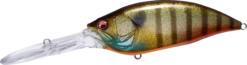 Megabass Big-M 7.5 Magnum Extra Deep Diving Crankbait 28 Megabass Big-M 7.5 Magnum Extra Deep Diving Crankbait -Fishing Promotion Store 14412823789623