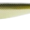 Z-Man SwimmerZ 6 Inch Paddle Tail Swimbait 3 Pack 2 Z-Man SwimmerZ 6 Inch Paddle Tail Swimbait 3 Pack -Fishing Promotion Store 14480533422135