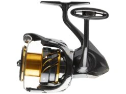 Shimano Twin Power FD Spinning Reels 14 Shimano Twin Power FD Spinning Reels -Fishing Promotion Store 1 9131173a 0be5 4970 8ae0 13ae27eea6ea