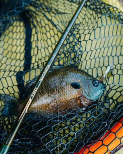 Temple Fork Outfitters Trout-Panfish Spinning Rods 27 Temple Fork Outfitters Trout-Panfish Spinning Rods -Fishing Promotion Store 228137455 4500207153343872 1629151116641672450 n