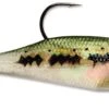 Storm WildEye Swim Shad Paddle Tail Swimbait 3 Pack 2 Storm WildEye Swim Shad Paddle Tail Swimbait 3 Pack -Fishing Promotion Store 31310894760025
