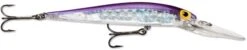 Storm Original Deep ThunderStick 4 3/8 Inch Jerkbait/Trolling Minnow 26 Storm Original Deep ThunderStick 4 3/8 Inch Jerkbait/Trolling Minnow -Fishing Promotion Store 31314393399385