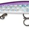Storm Original ThunderStick 4 3/8 Inch Jerkbait/Trolling Minnow 1 Storm Original ThunderStick 4 3/8 Inch Jerkbait/Trolling Minnow -Fishing Promotion Store 31314679103577