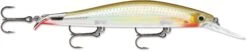 Rapala RipStop Deep 12 Jerkbait 25 Rapala RipStop Deep 12 Jerkbait -Fishing Promotion Store 31321038356569