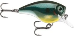 Rapala BX Big Brat 2 3/4 Inch Square Bill Crankbait 22 Rapala BX Big Brat 2 3/4 Inch Square Bill Crankbait -Fishing Promotion Store 31321538429017