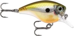 Rapala BX Big Brat 2 3/4 Inch Square Bill Crankbait 26 Rapala BX Big Brat 2 3/4 Inch Square Bill Crankbait -Fishing Promotion Store 31321538560089