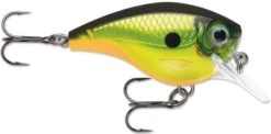 Rapala BX Big Brat 2 3/4 Inch Square Bill Crankbait 27 Rapala BX Big Brat 2 3/4 Inch Square Bill Crankbait -Fishing Promotion Store 31321538592857