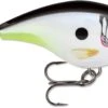 Rapala BX Big Brat 2 3/4 Inch Square Bill Crankbait 1 Rapala BX Big Brat 2 3/4 Inch Square Bill Crankbait -Fishing Promotion Store 31321538625625