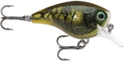 Rapala BX Big Brat 2 3/4 Inch Square Bill Crankbait 28 Rapala BX Big Brat 2 3/4 Inch Square Bill Crankbait -Fishing Promotion Store 31321538658393