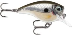Rapala BX Big Brat 2 3/4 Inch Square Bill Crankbait 29 Rapala BX Big Brat 2 3/4 Inch Square Bill Crankbait -Fishing Promotion Store 31321538691161