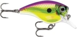 Rapala BX Big Brat 2 3/4 Inch Square Bill Crankbait 30 Rapala BX Big Brat 2 3/4 Inch Square Bill Crankbait -Fishing Promotion Store 31321538723929