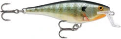 Rapala Super Shad Rap 5 1/2 Inch Crankbait 24 Rapala Super Shad Rap 5 1/2 Inch Crankbait -Fishing Promotion Store 31321620545625