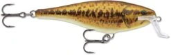 Rapala Super Shad Rap 5 1/2 Inch Crankbait 31 Rapala Super Shad Rap 5 1/2 Inch Crankbait -Fishing Promotion Store 31321620775001