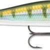Rapala RipStop 09 Jerkbait 2 Rapala RipStop 09 Jerkbait -Fishing Promotion Store 31325175873625