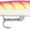 Rapala Jointed Deep Husky Jerk 12 Jerkbait/Trolling Minnow 2 Rapala Jointed Deep Husky Jerk 12 Jerkbait/Trolling Minnow -Fishing Promotion Store 31334065537113