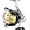 Daiwa Procyon LT Spinning Reels 2 Daiwa Procyon LT Spinning Reels -Fishing Promotion Store 31403870912601